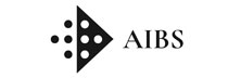 Artificial Intelligence Business Solutions