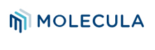 Molecula